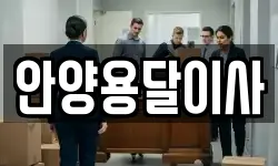 안양용달이사