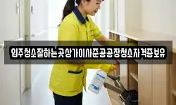 입주청소잘하는곳상가이사준공공장청소자격증보유
