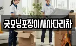 굿모닝포장이사사다리차