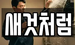새것처럼