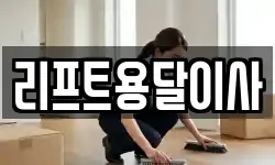 리프트용달이사