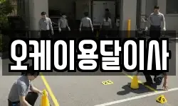 오케이용달이사