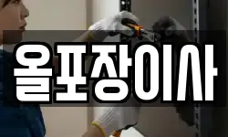올포장이사