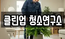 클린업 청소연구소