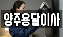 양주용달이사
