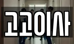 고고이사
