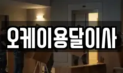 오케이용달이사