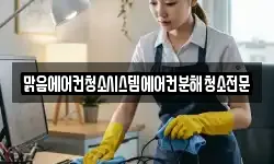 맑음에어컨청소시스템에어컨분해청소전문