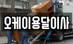 오케이용달이사