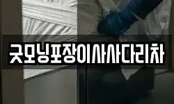 굿모닝포장이사사다리차