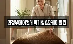 의정부에어컨세탁기청소오케이클린