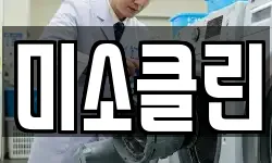 미소클린