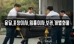 용달,포장이사,원룸이사,보관,개별화물