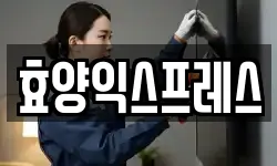 효양익스프레스