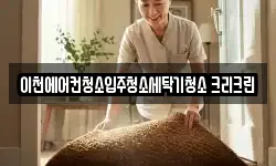 이천에어컨청소입주청소세탁기청소 크리크린