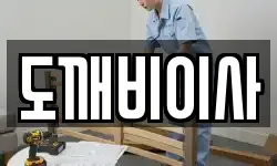 도깨비이사