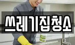 쓰레기집청소