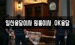 일산용달이사 원룸이사 OK용달