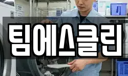 팀에스클린