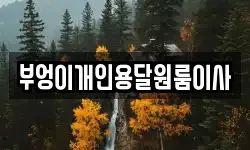 부엉이개인용달원룸이사