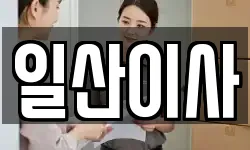 일산이사