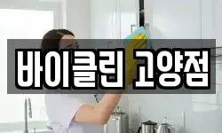 바이클린 고양점