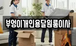 부엉이개인용달원룸이사