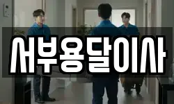 서부용달이사