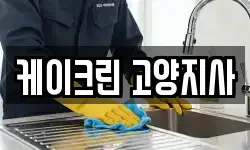 케이크린 고양지사