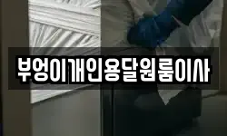 부엉이개인용달원룸이사