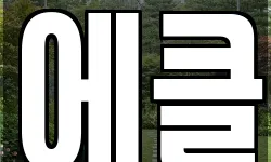 에클