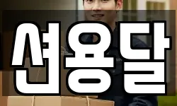 션용달