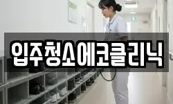 입주청소에코클리닉