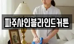 파주샤인블라인드커튼
