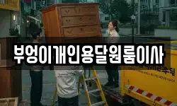 부엉이개인용달원룸이사