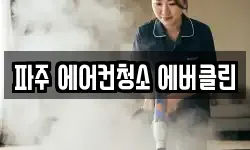 파주 에어컨청소 에버클린