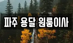 파주 용달 원룸이사