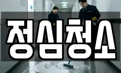 정심청소