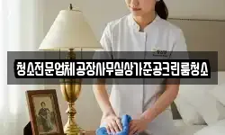 청소전문업체공장사무실상가준공크린룸청소