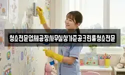 청소전문업체공장사무실상가준공크린룸청소전문