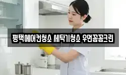 평택에어컨청소 세탁기청소 우먼꼼꼼크린