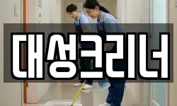 대성크리너
