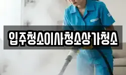 입주청소이사청소상가청소