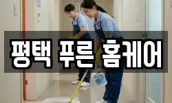 평택 푸른 홈케어