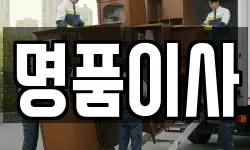 명품이사