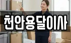 천안용달이사