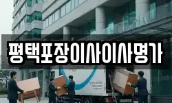 경기 평택시 비전동 이사,용달이사,포장이사,원룸이사,보관이사