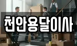 천안용달이사