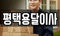 평택용달이사