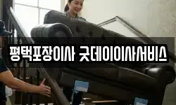 경기 평택시 서정동 이사,용달이사,포장이사,원룸이사,보관이사